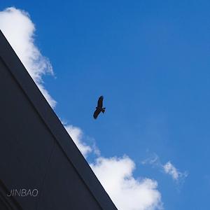 淫媳荡公淫肉大战小说
