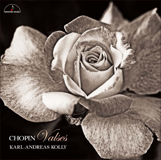 淫媳荡公淫肉大战小说
